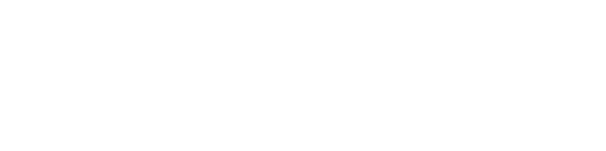 The Rice Store